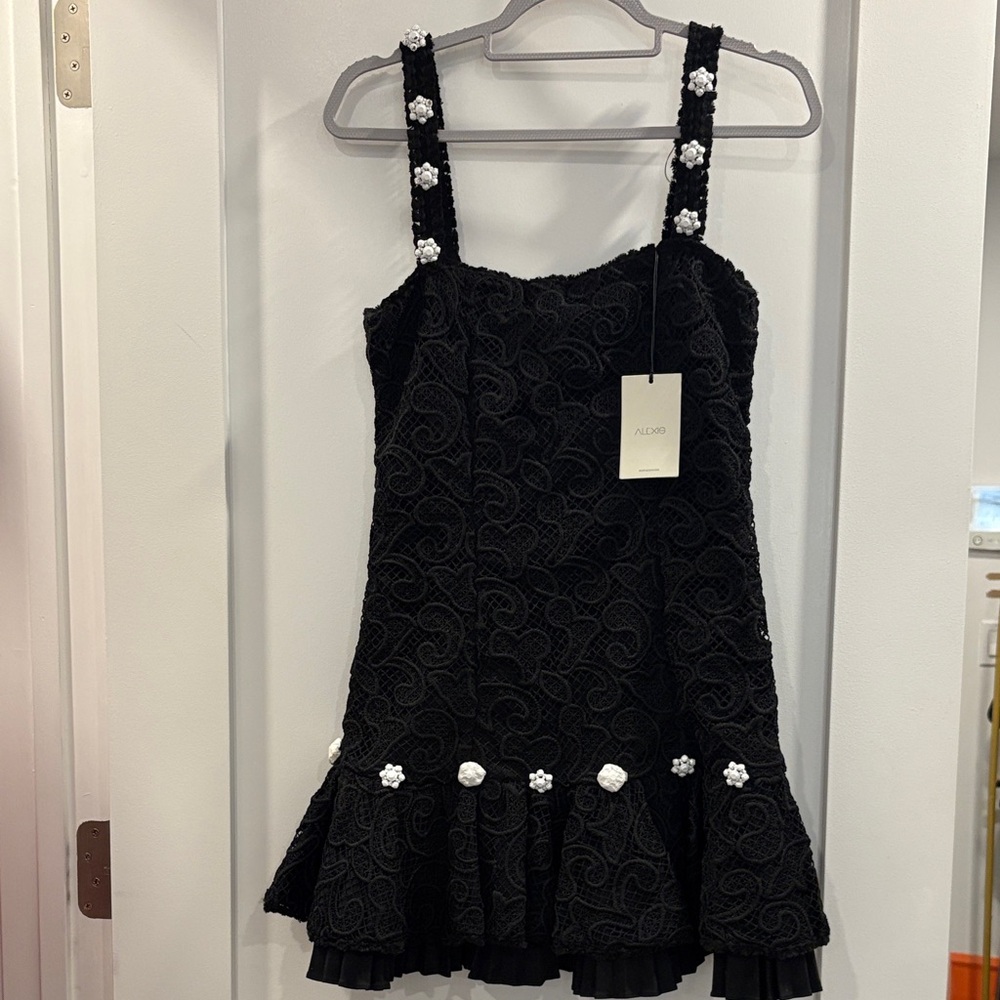 Alexis Black Mini Dress with White Accents